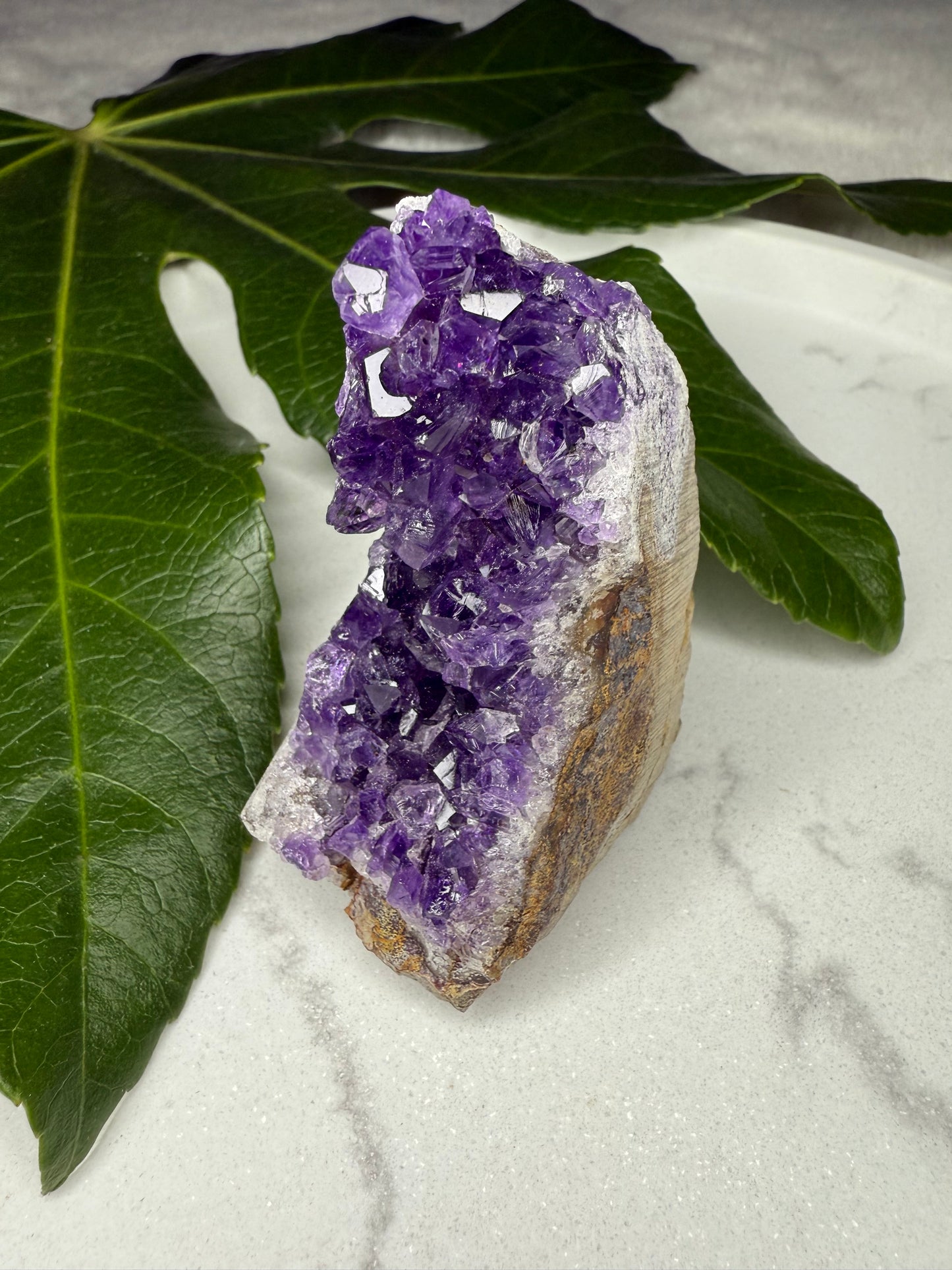 Amethyst Cluster (AAA Qualität)