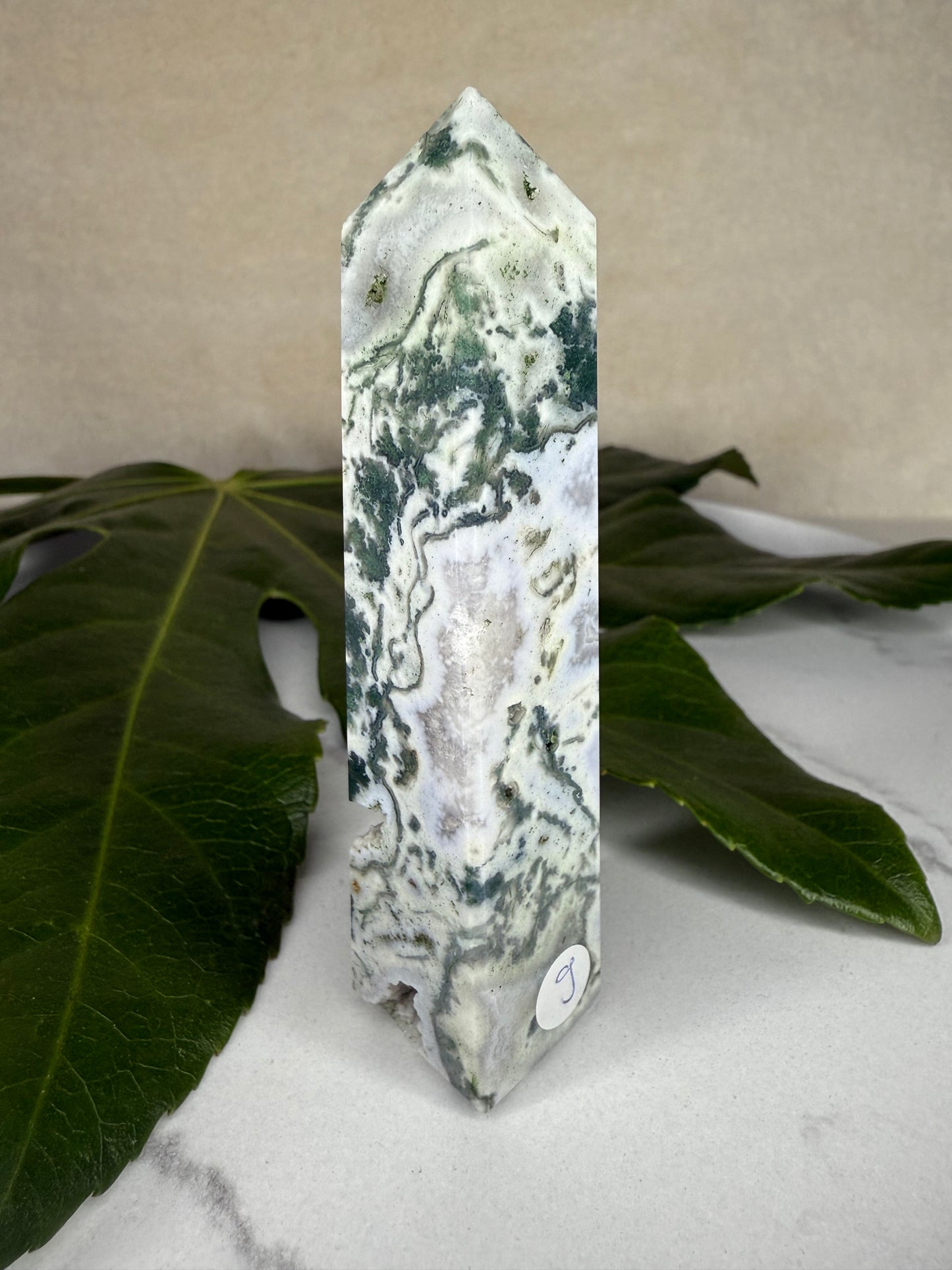 Baumachat X Moosachat Obelisk