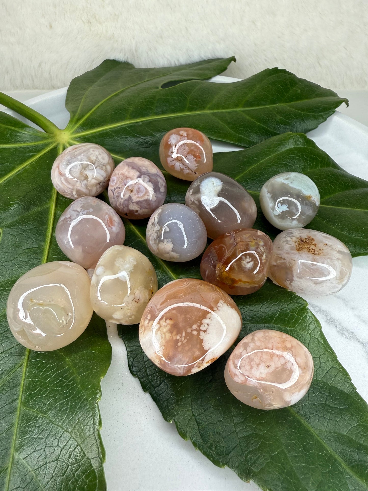 Flower Agate Tumble