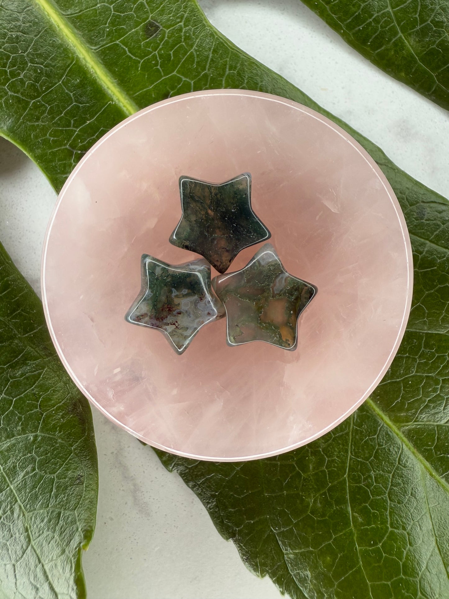 Mini Moosachat Sternchen (3er Set)