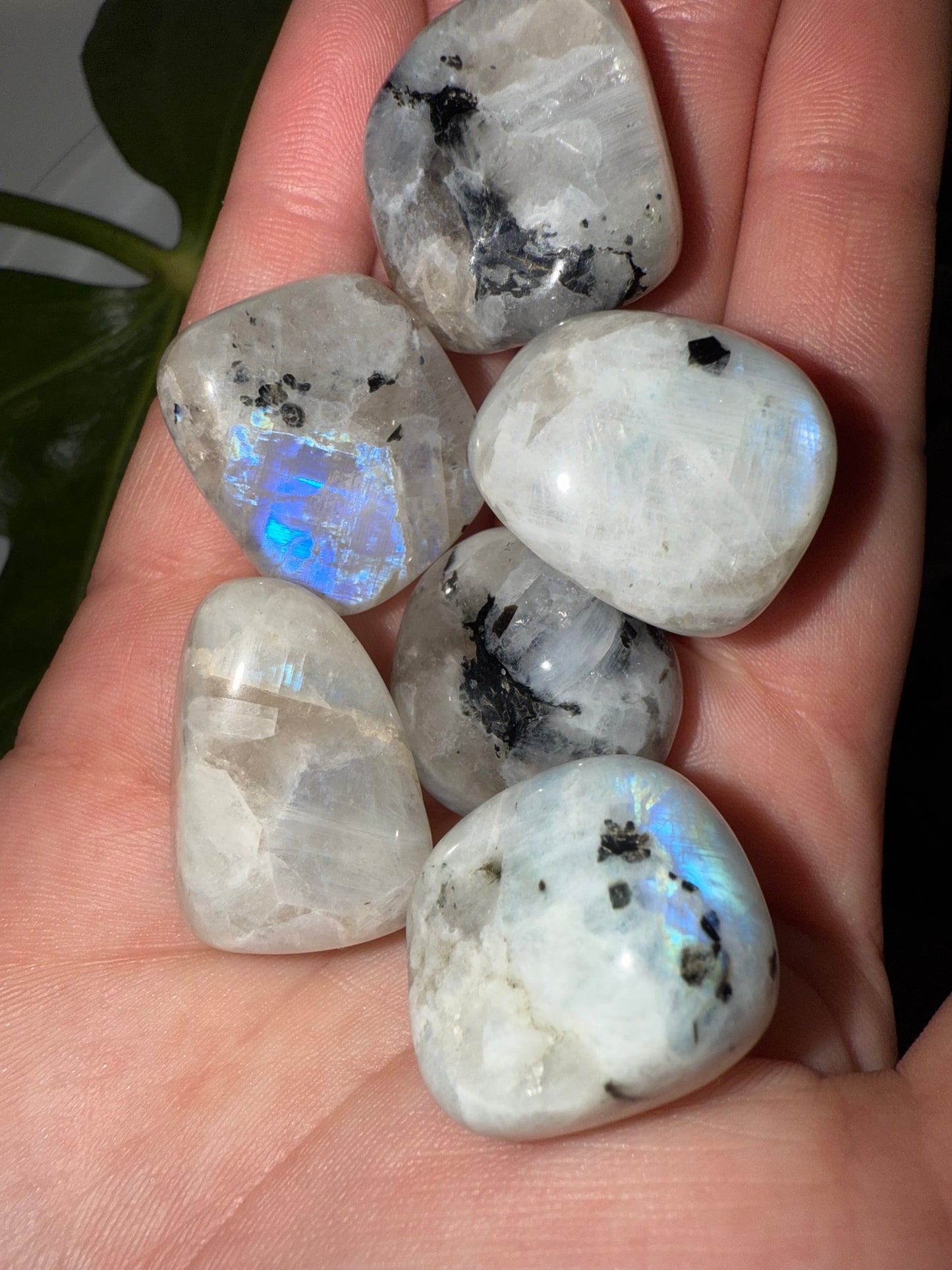 Regenbogen Mondstein Trommelstein