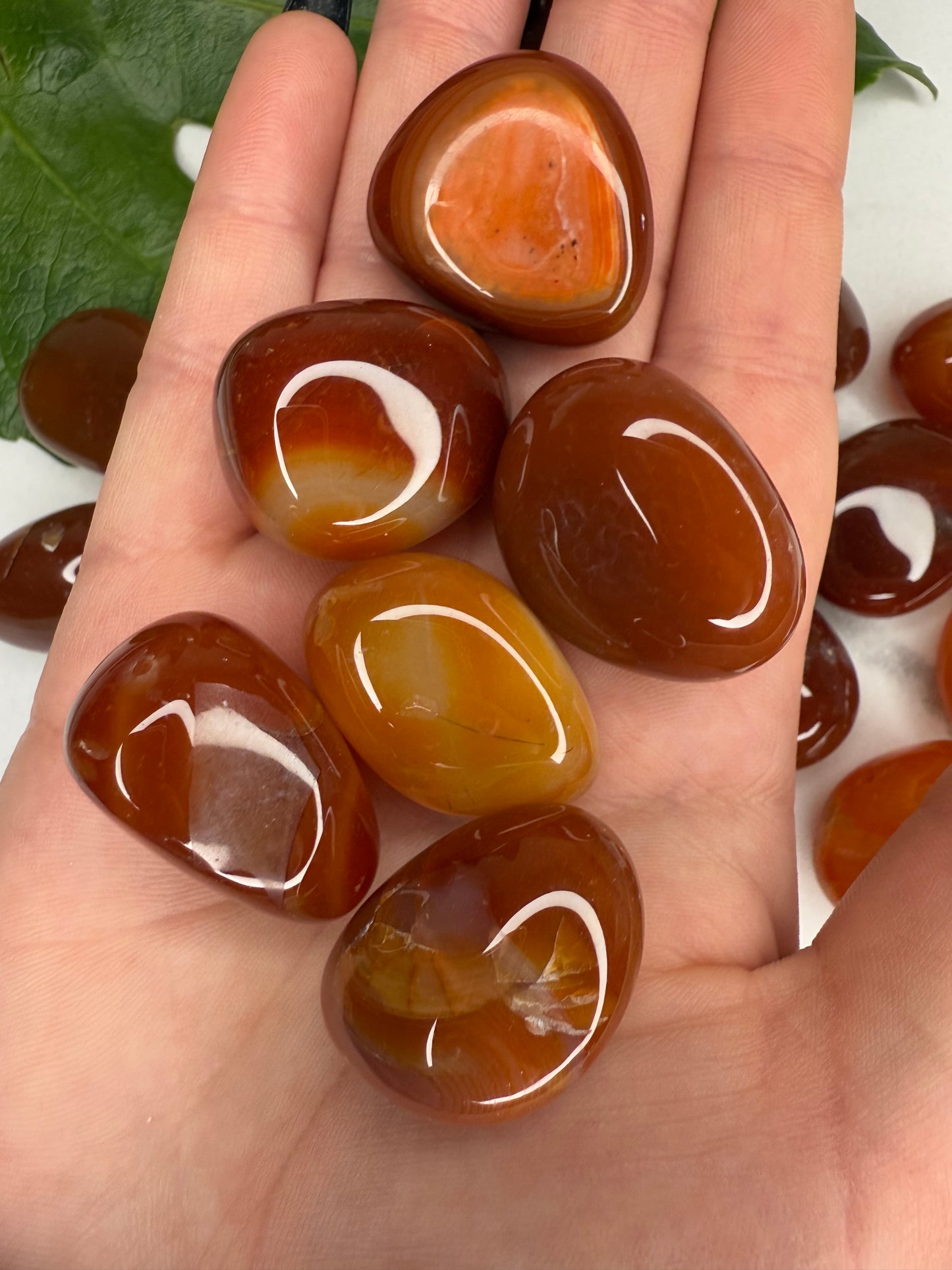 Karneol Trommelstein