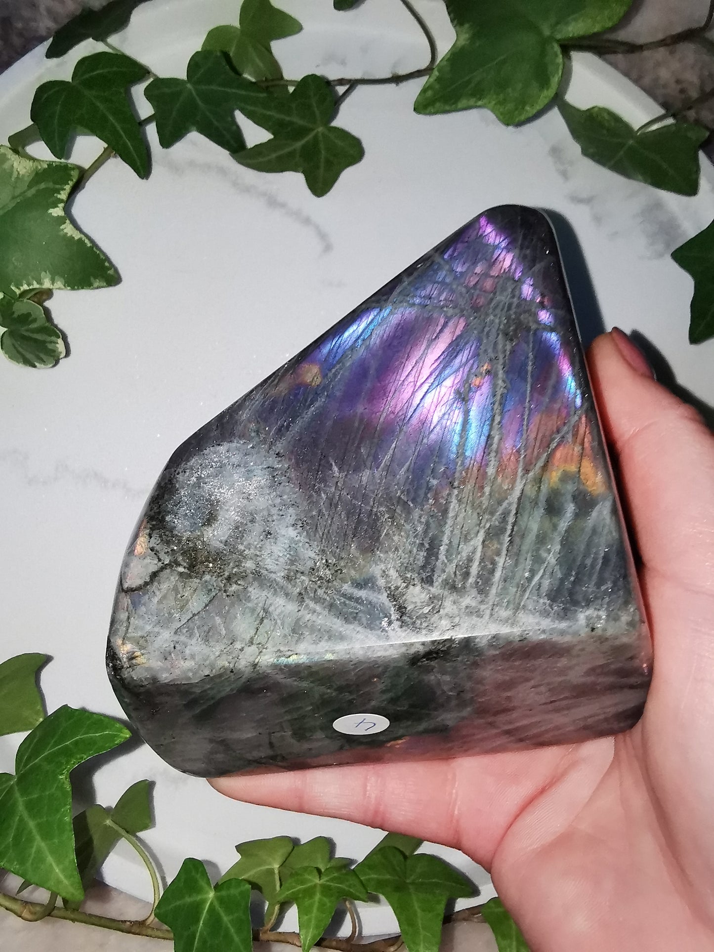 Sunset Labradorit Freeform #4