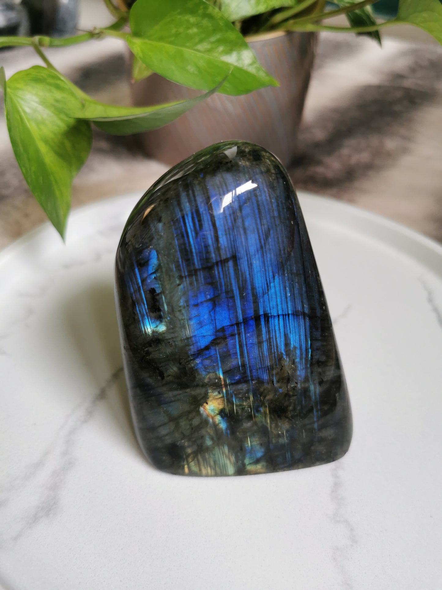 Labradorit Freeform Blue Flash #2