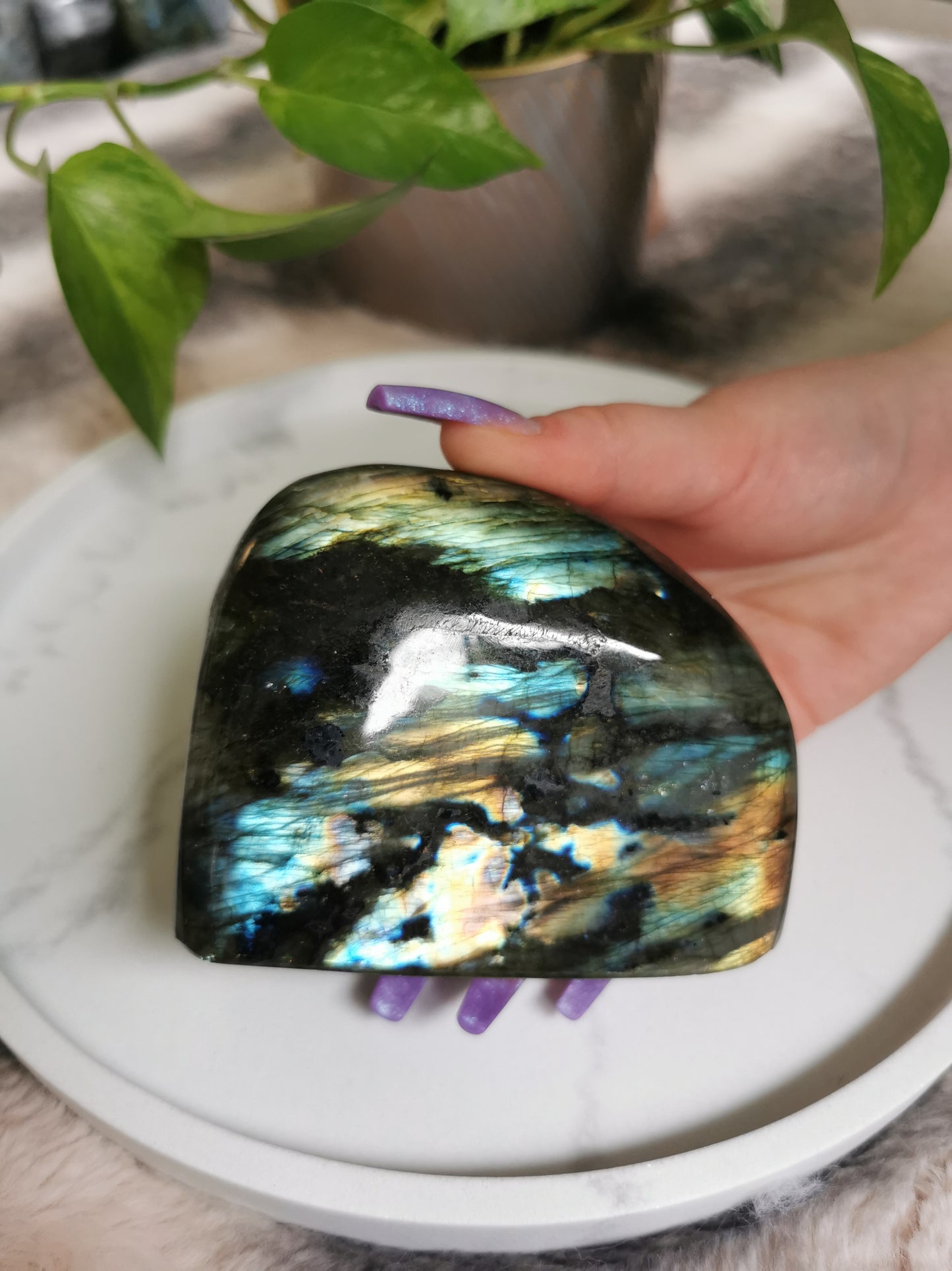 Labradorit Freeform Blue Flash #5