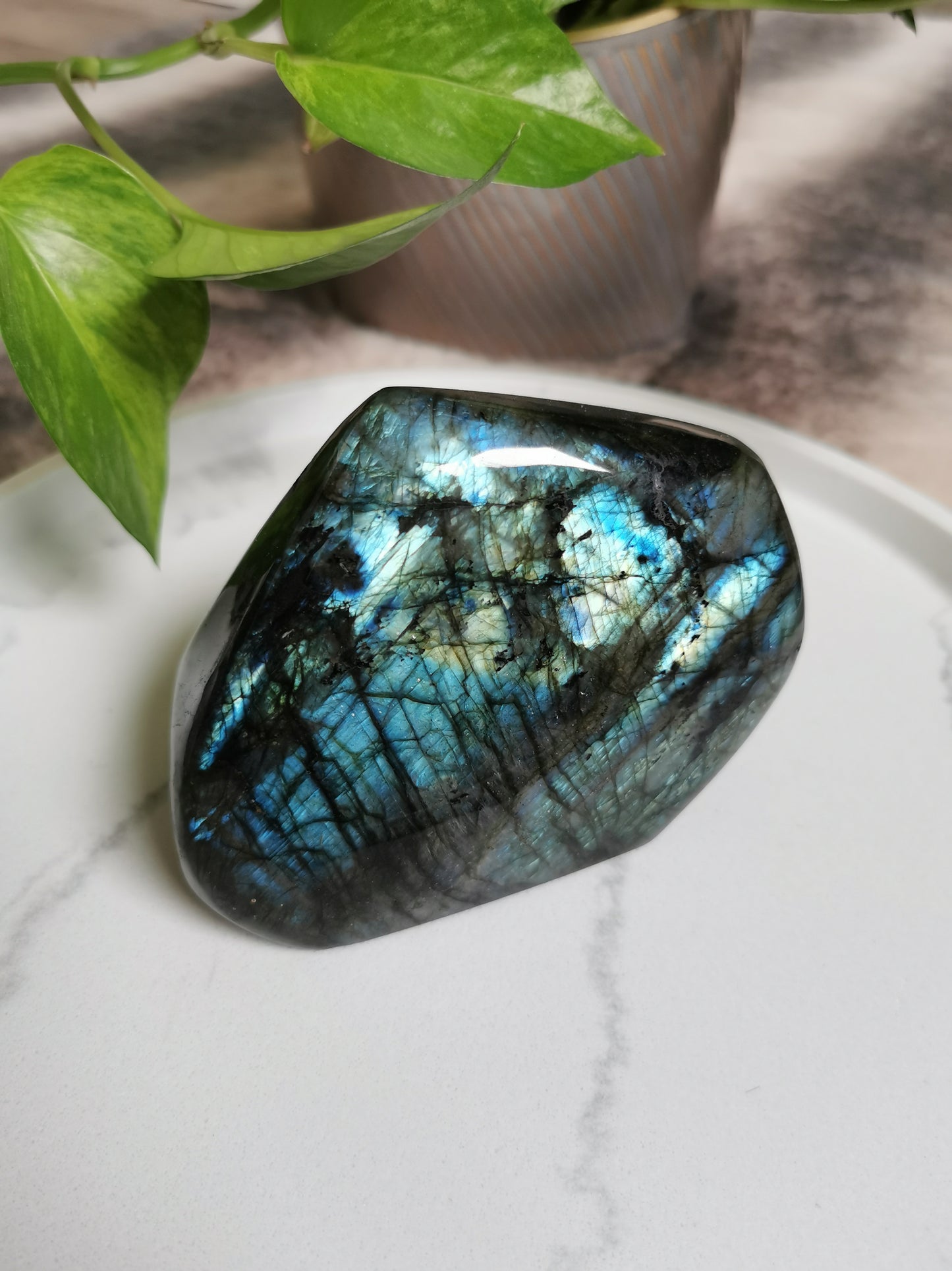 Labradorit Freeform Blue Flash #3