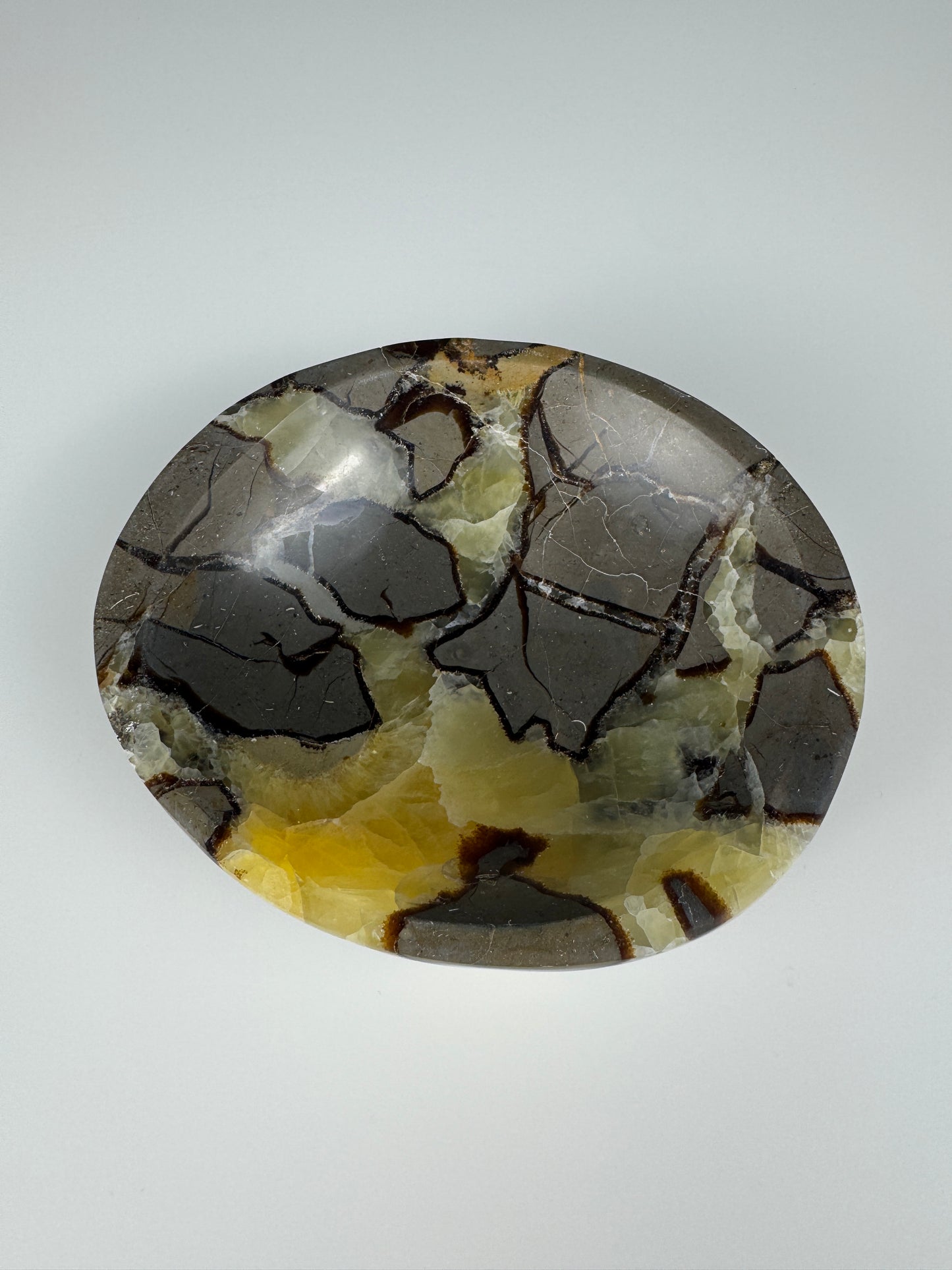 XL Drachenstein (Septarie) Deko Schale
