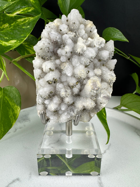 Druzy Quarz & Pyrit Cluster