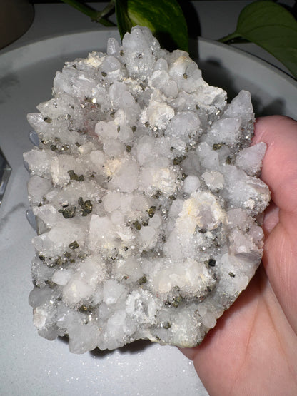 Druzy Quarz & Pyrit Cluster