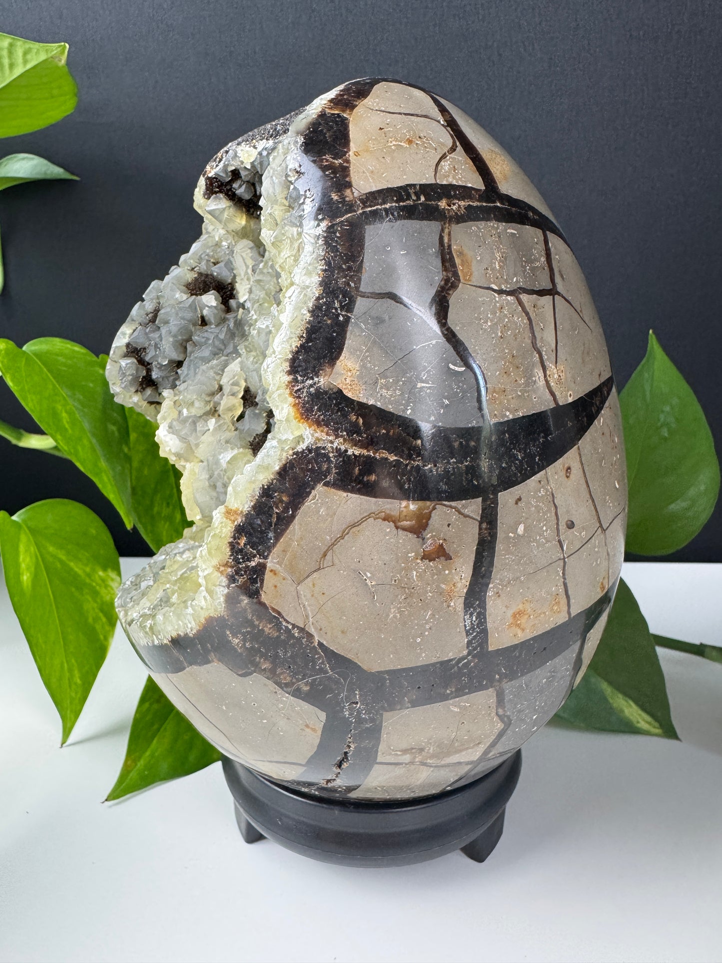 XXL Druzy Dragonstone Egg (3,3kg, Septarian)