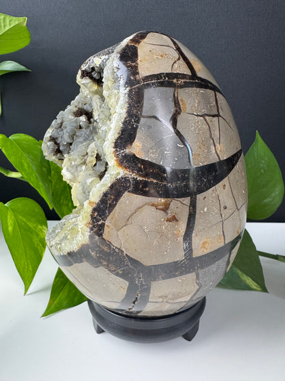 XXL Druzy Dragonstone Egg (3,3kg, Septarian)