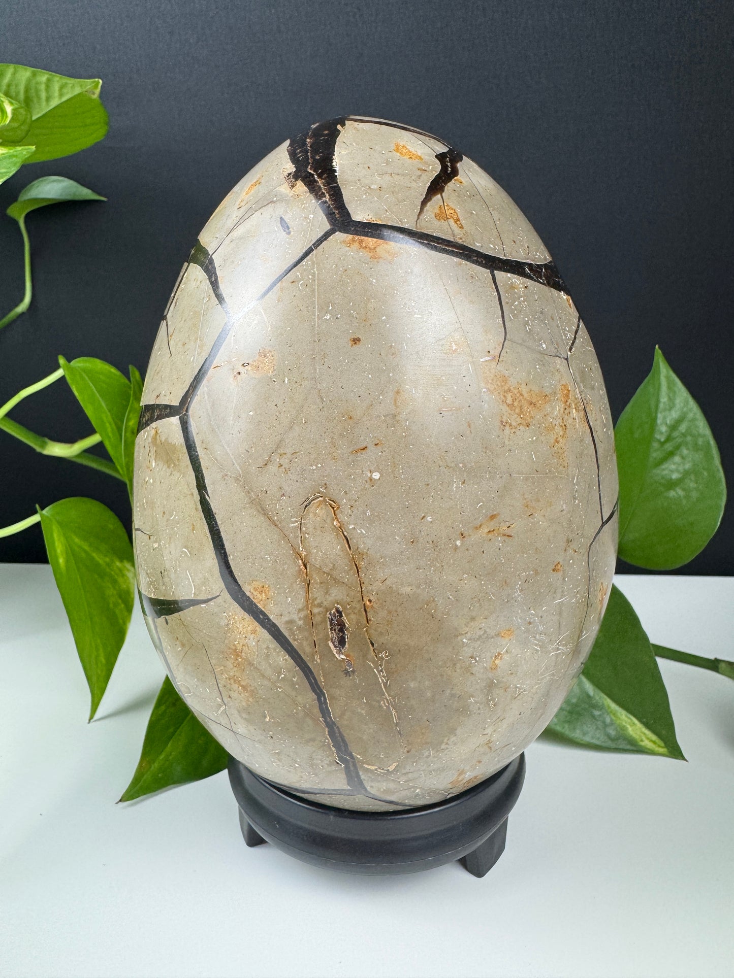 XXL Druzy Dragonstone Egg (3,3kg, Septarian)