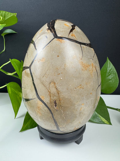 XXL Druzy Dragonstone Egg (3,3kg, Septarian)