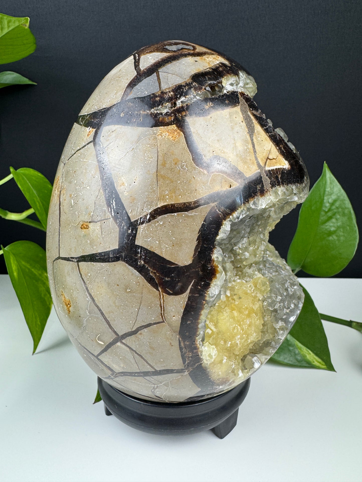 XXL Druzy Dragonstone Egg (3,3kg, Septarian)