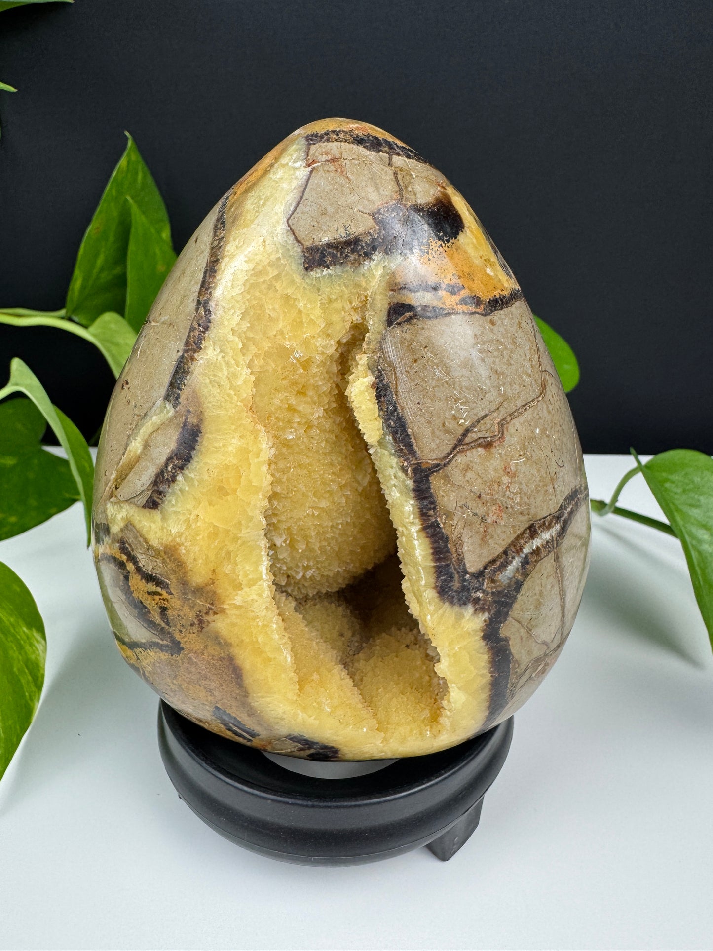 XL Druzy Drachenstein Ei (1,5kg Septarie)