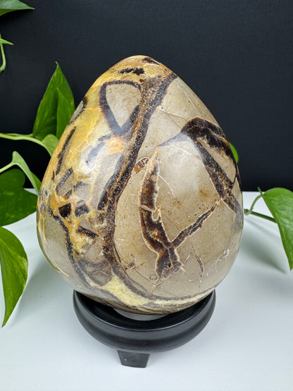 XL Druzy Drachenstein Ei (1,5kg Septarie)