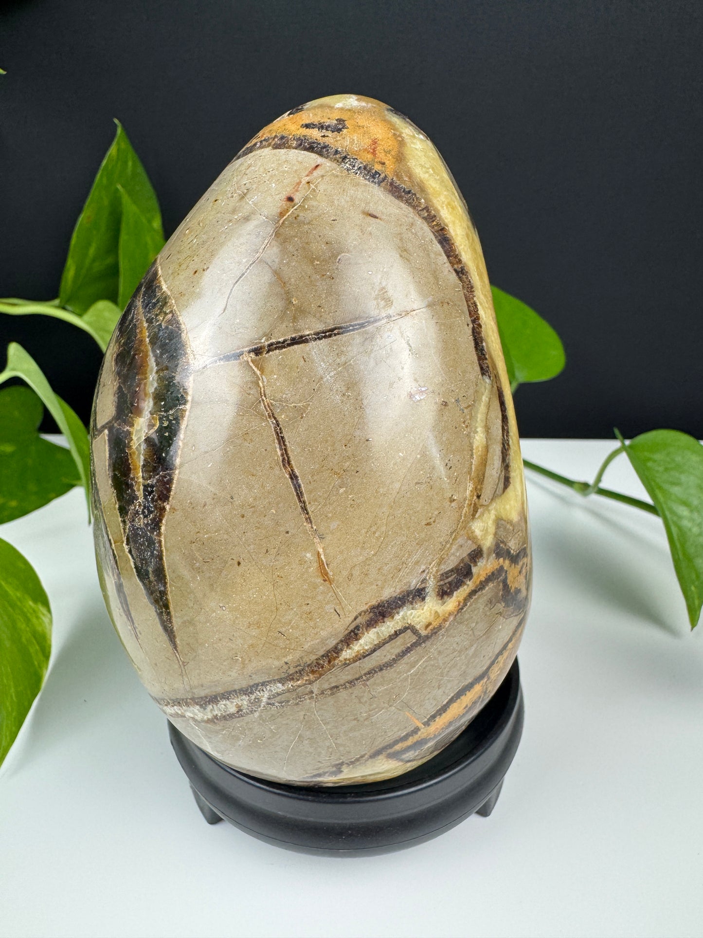 XL Druzy Drachenstein Ei (1,5kg Septarie)