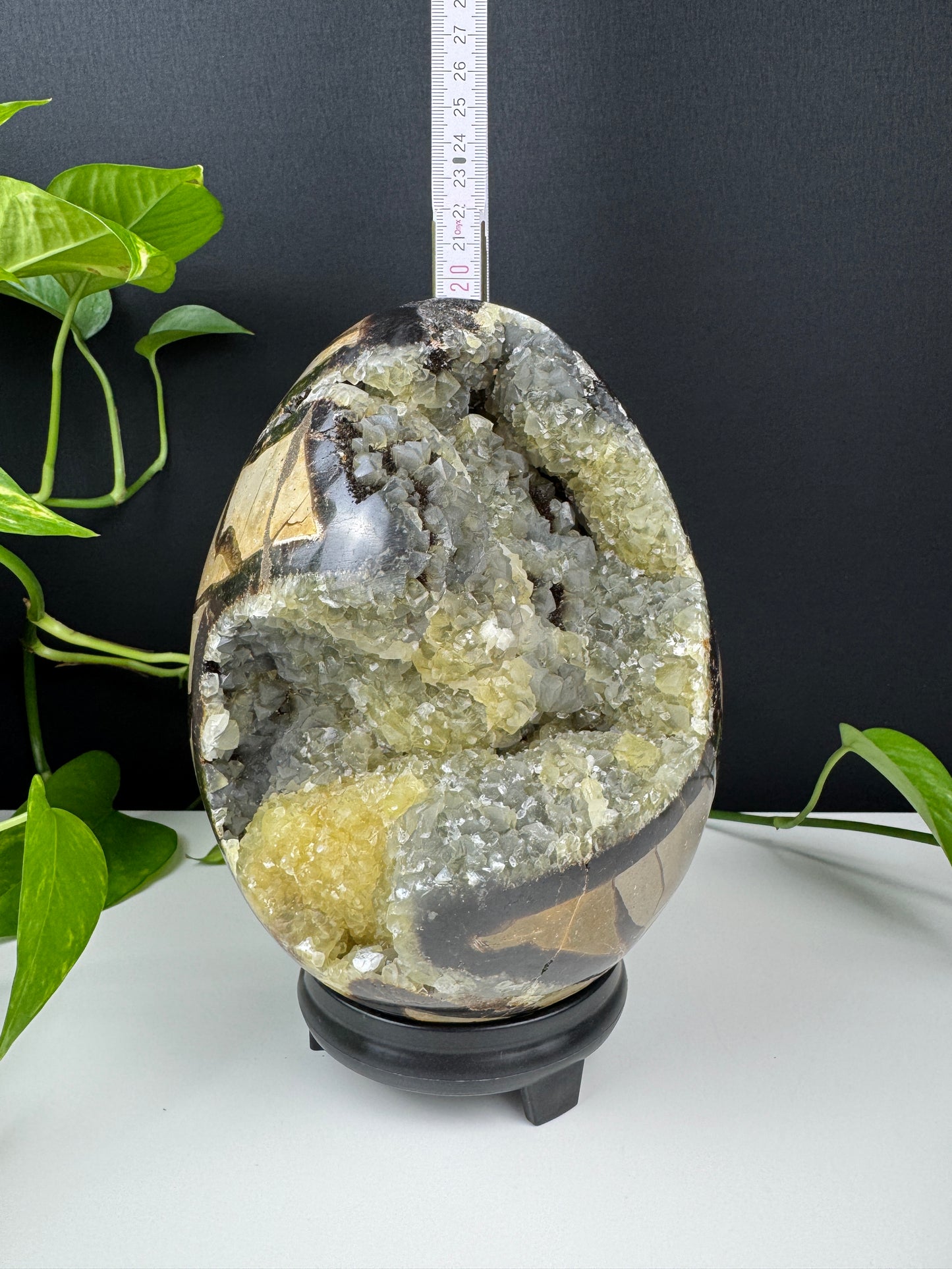 XXL Druzy Dragonstone Egg (3,3kg, Septarian)