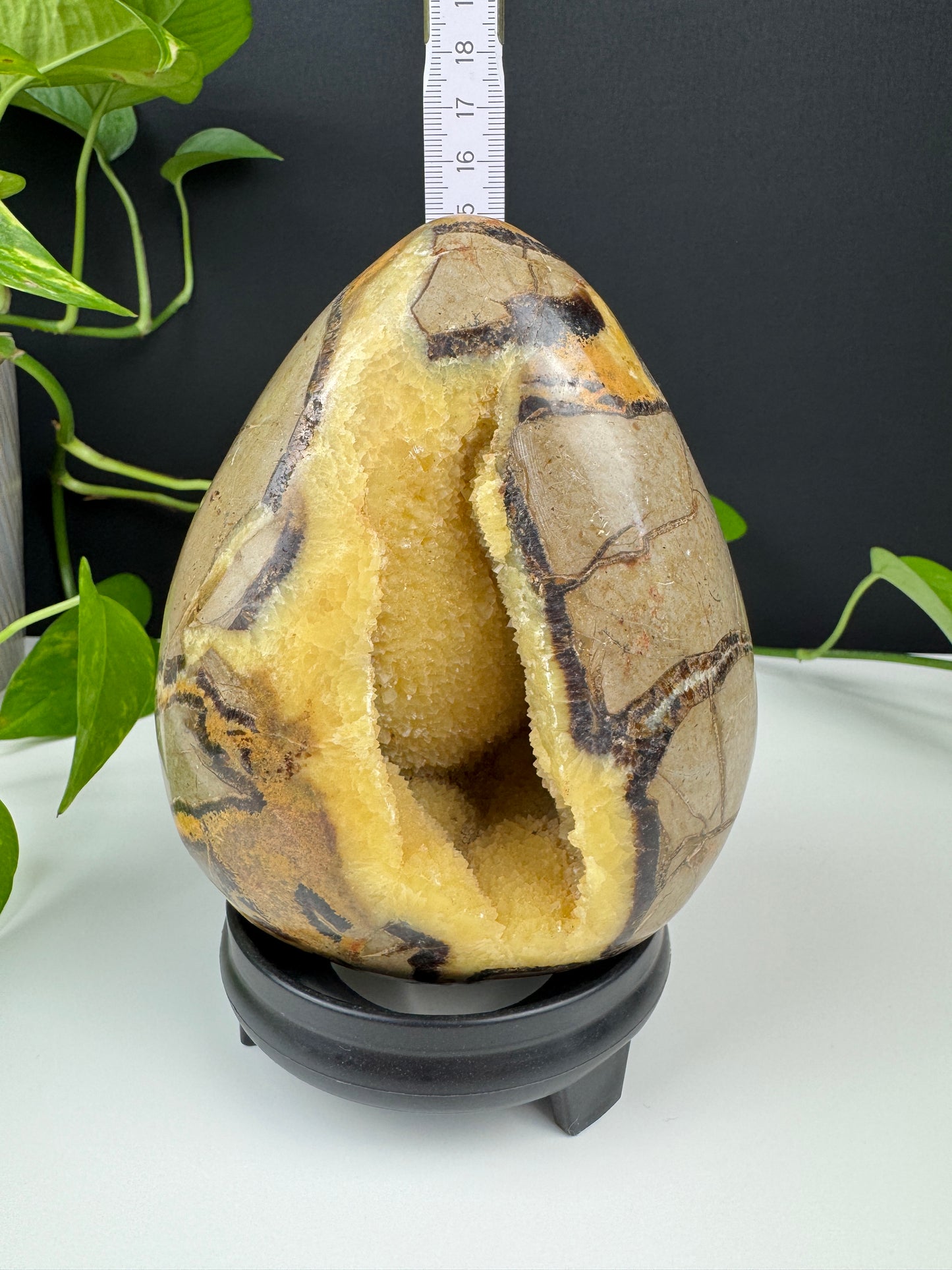 XL Druzy Drachenstein Ei (1,5kg Septarie)