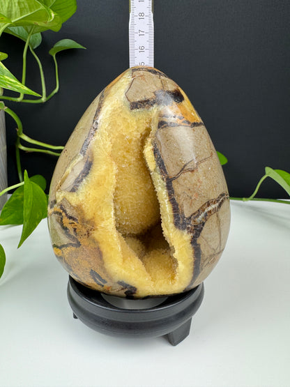 XL Druzy Drachenstein Ei (1,5kg Septarie)