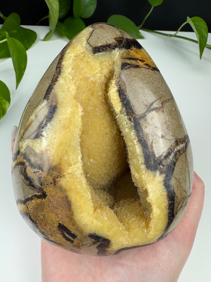 XL Druzy Drachenstein Ei (1,5kg Septarie)