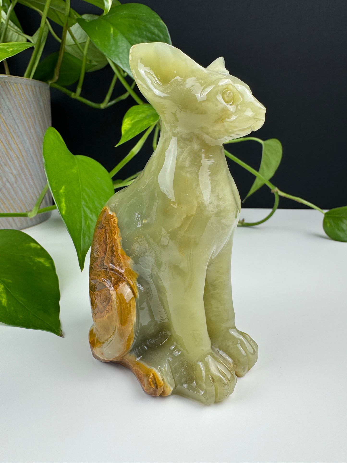 Afghanische Jade Sphinx-Katze (Onyx-Calcit)